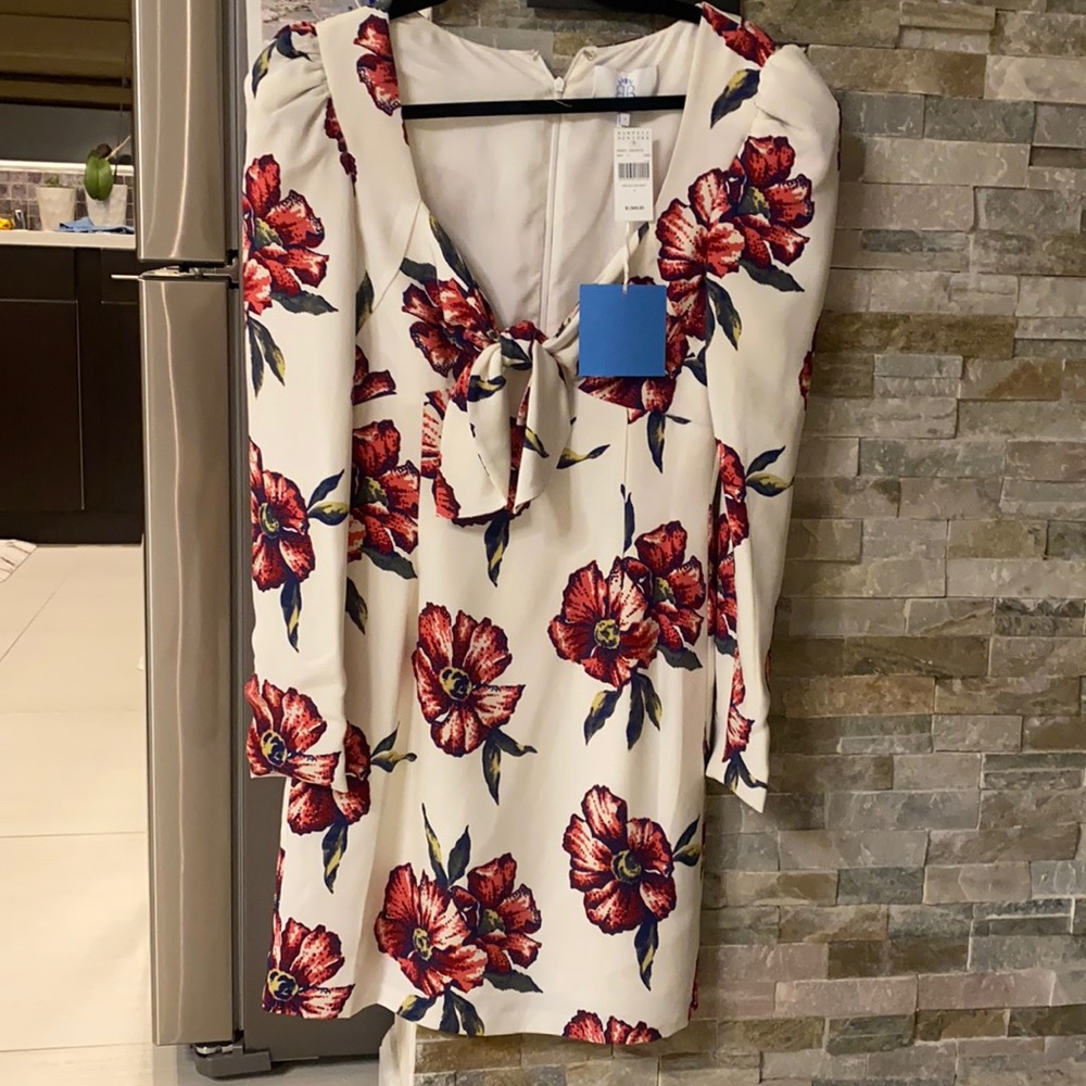 Brand new Rebecca de Ravenel dress , perfect for girl size 2-4